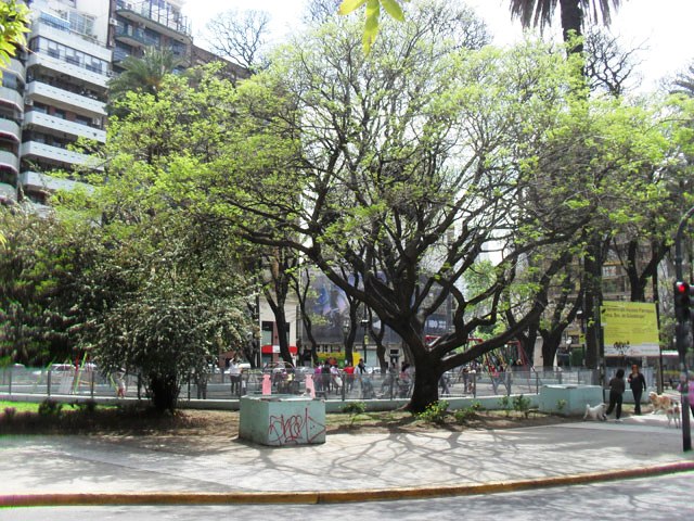 PLAZA GUEMES